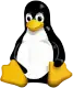 Linux and windows server management